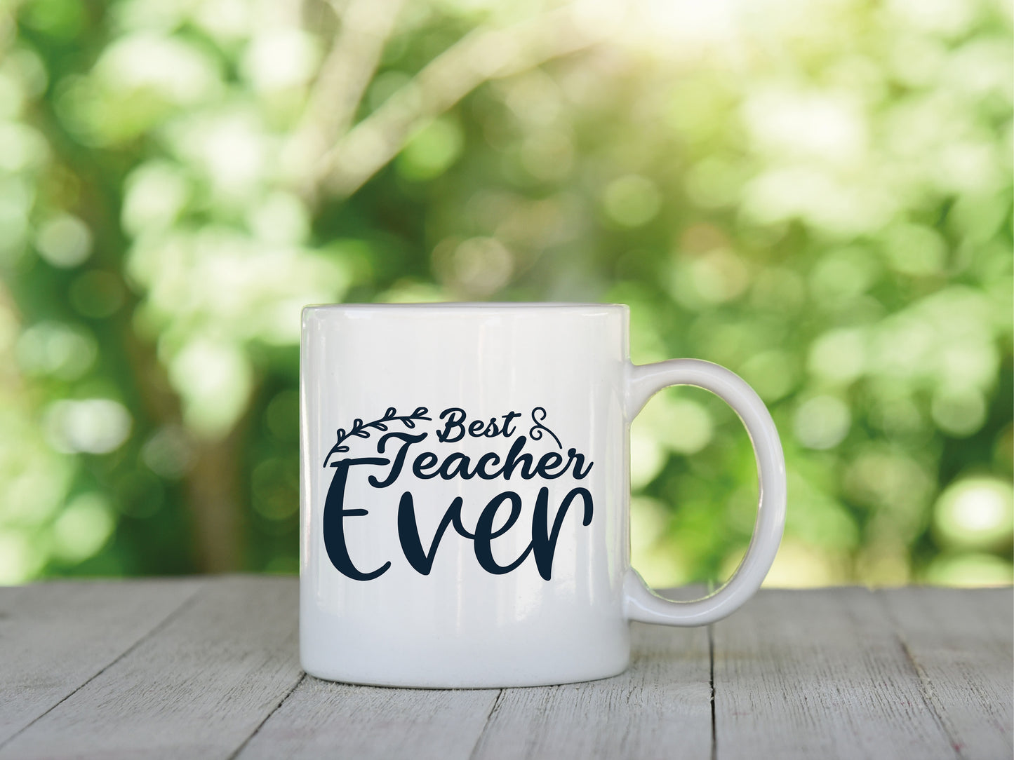 800+ Teacher Sublimation/DTF T-Shirt/Tumbler/Mug Images Bundle